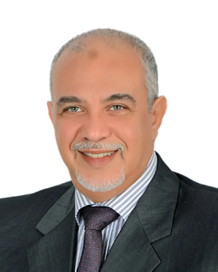 Eng. Hazem El Gendy